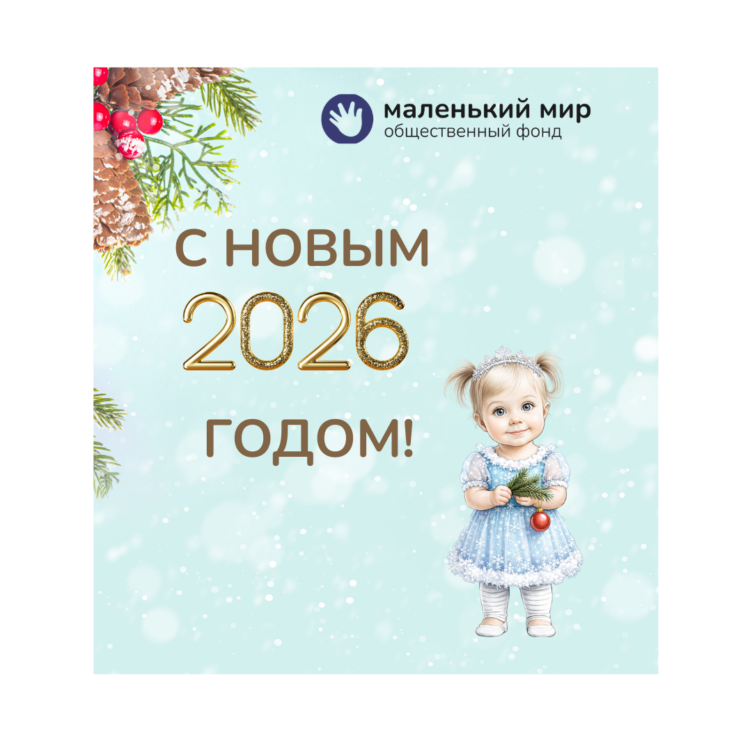 С Новым 2026 годом от фонда «Маленький мир»